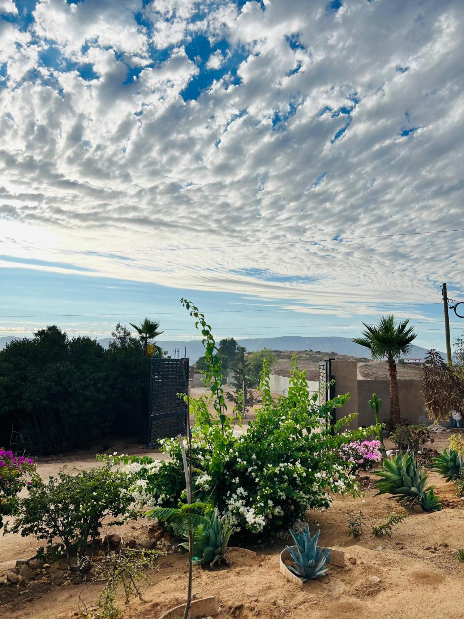 Rancho Matalote En Valle De Guadalupe Eksteriør bilde