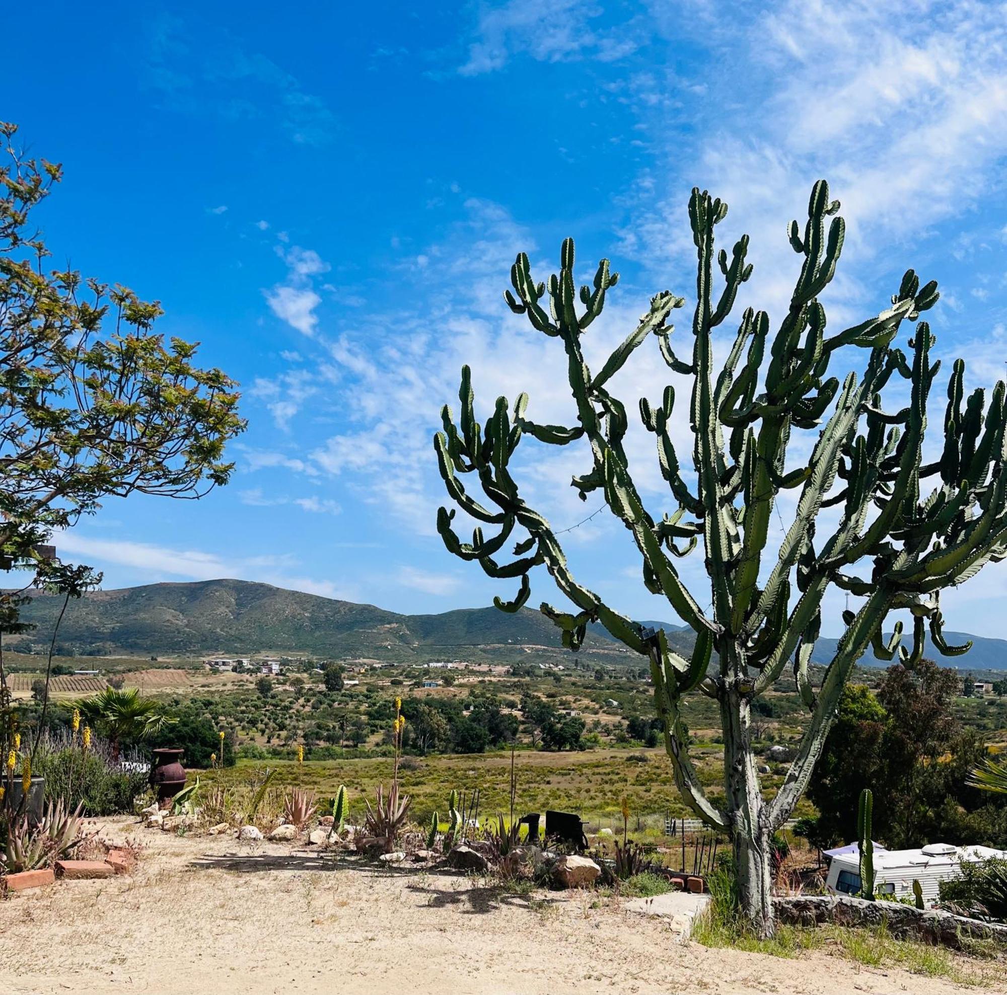Rancho Matalote En Valle De Guadalupe Eksteriør bilde